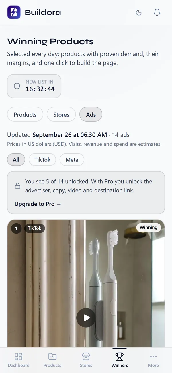 Ads tab: TikTok and Meta ads with their video.