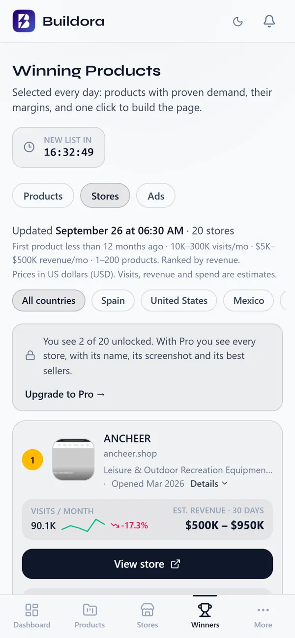 Stores tab: Shopify stores with their estimated visits and revenue.